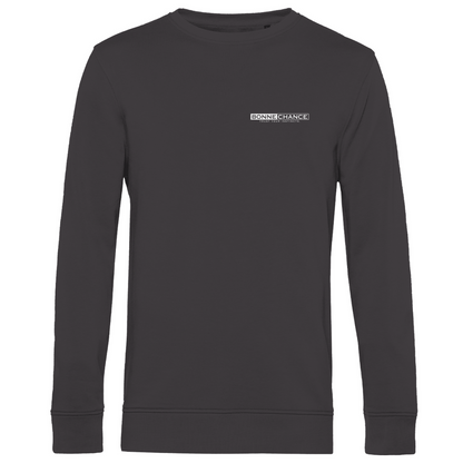 Vegas Baby - Herren Premium Bio Sweatshirt