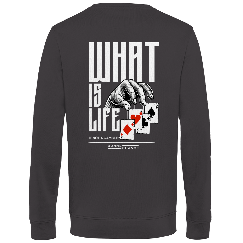What is Life - Herren Premium Bio Sweatshirt