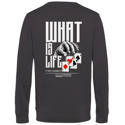 What is Life - Herren Premium Bio Sweatshirt