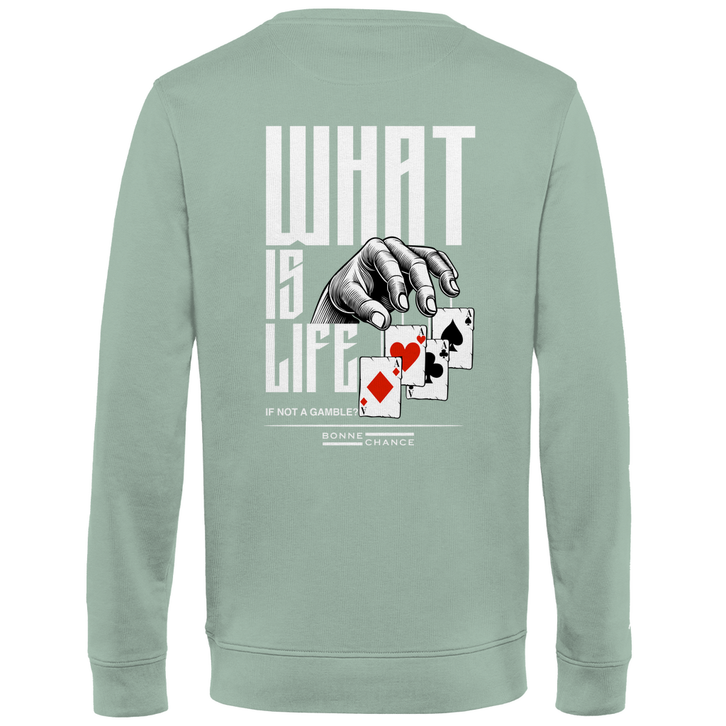 What is Life - Herren Premium Bio Sweatshirt