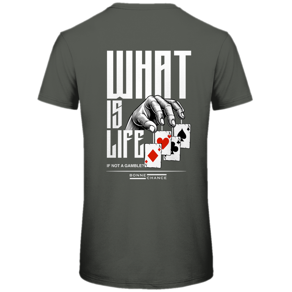 What is Life - Herren Premium Bio T-Shirt
